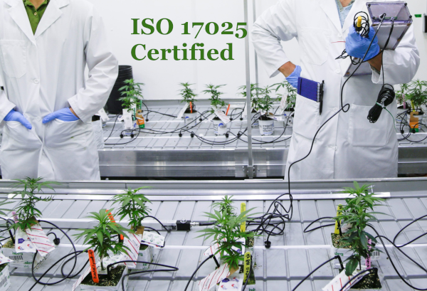 cannabis lab certified 600x409